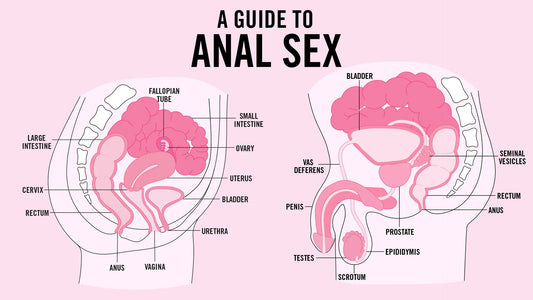 An Inclusive Guide to Anal Play: Exploring Pleasure with Care