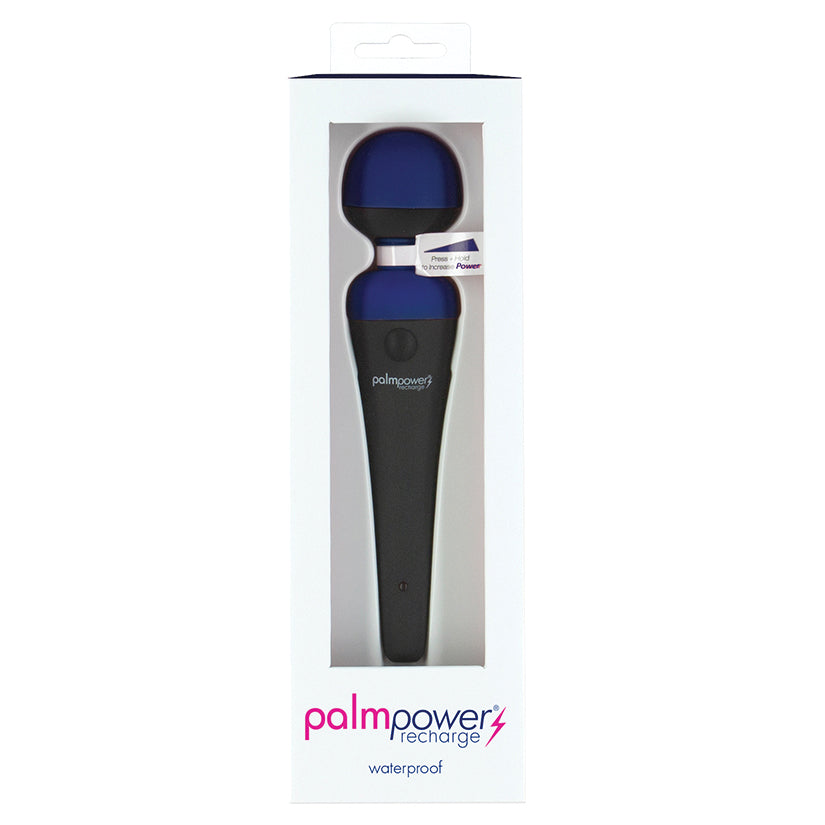 PalmPower-Recharge-Massage-Wand-Blue