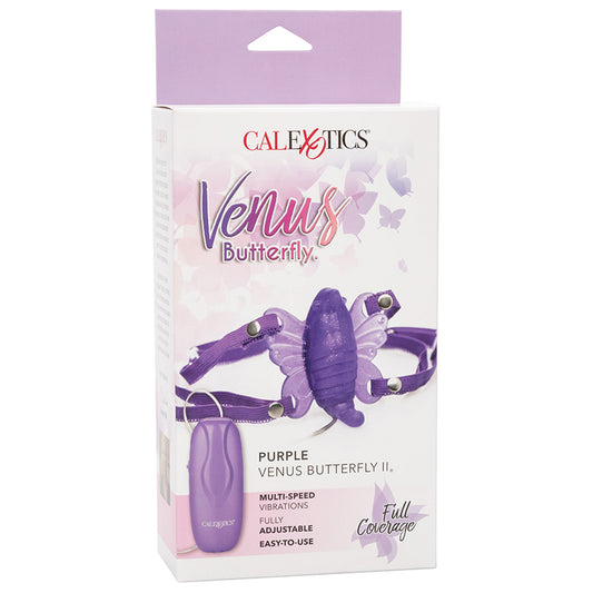 Venus-Butterfly-Purple-Venus-Butterfly-2
